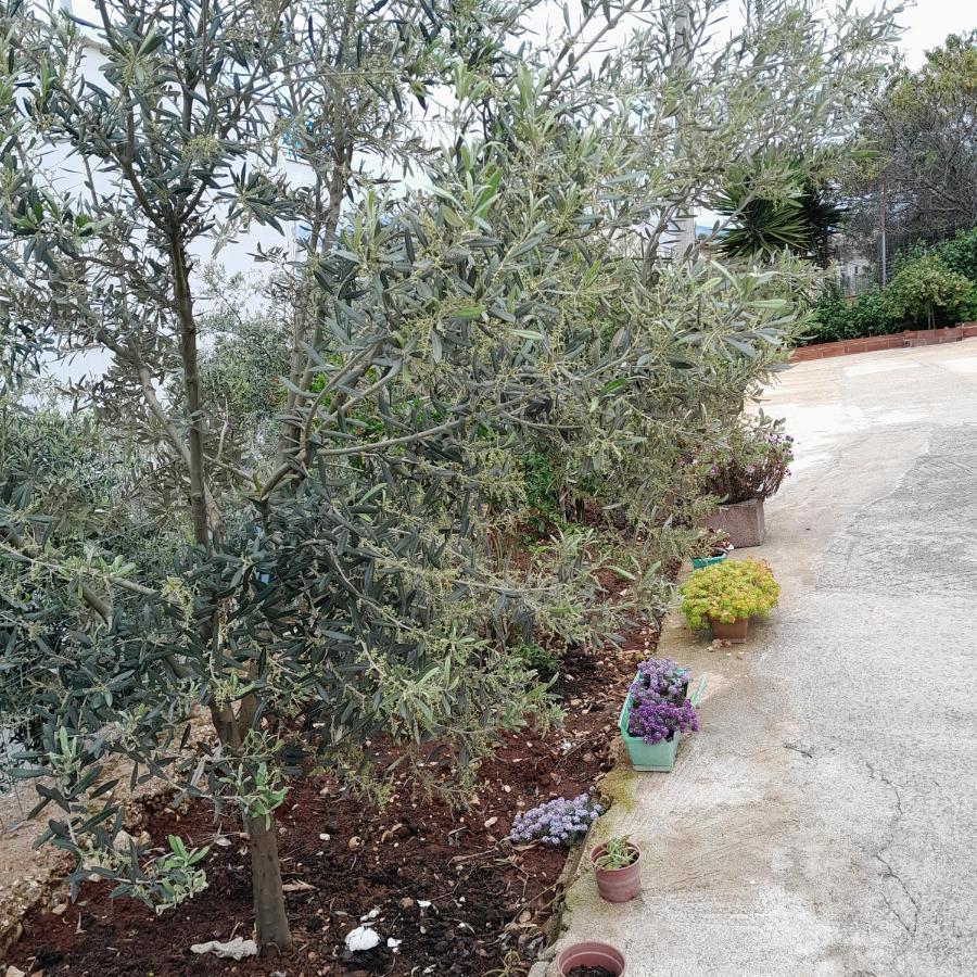 Denni'S Home Saranda Kültér fotó