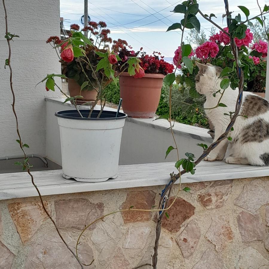 Denni'S Home Saranda Kültér fotó