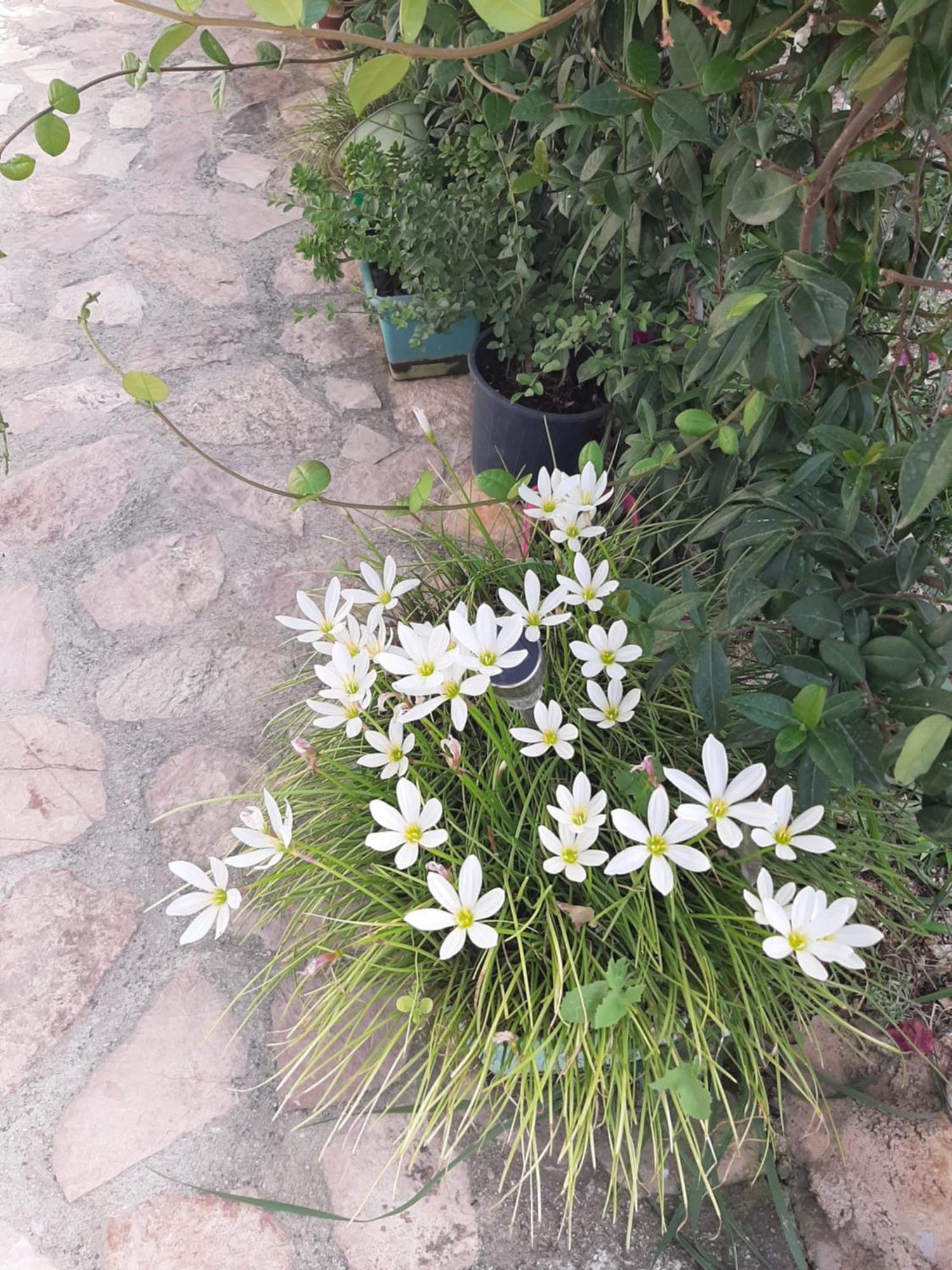 Denni'S Home Saranda Kültér fotó