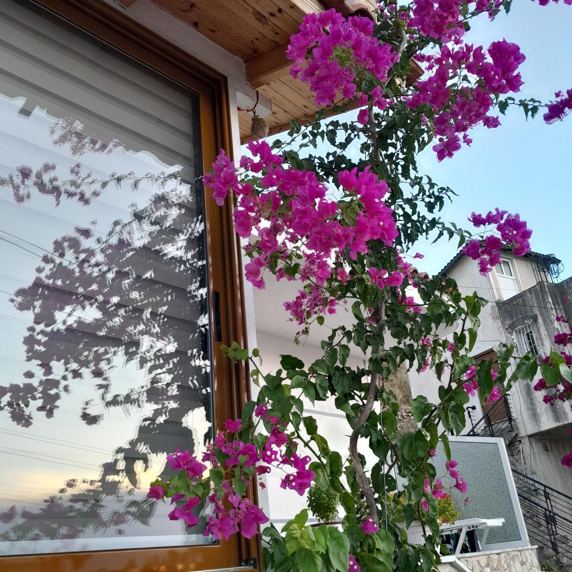 Denni'S Home Saranda Kültér fotó