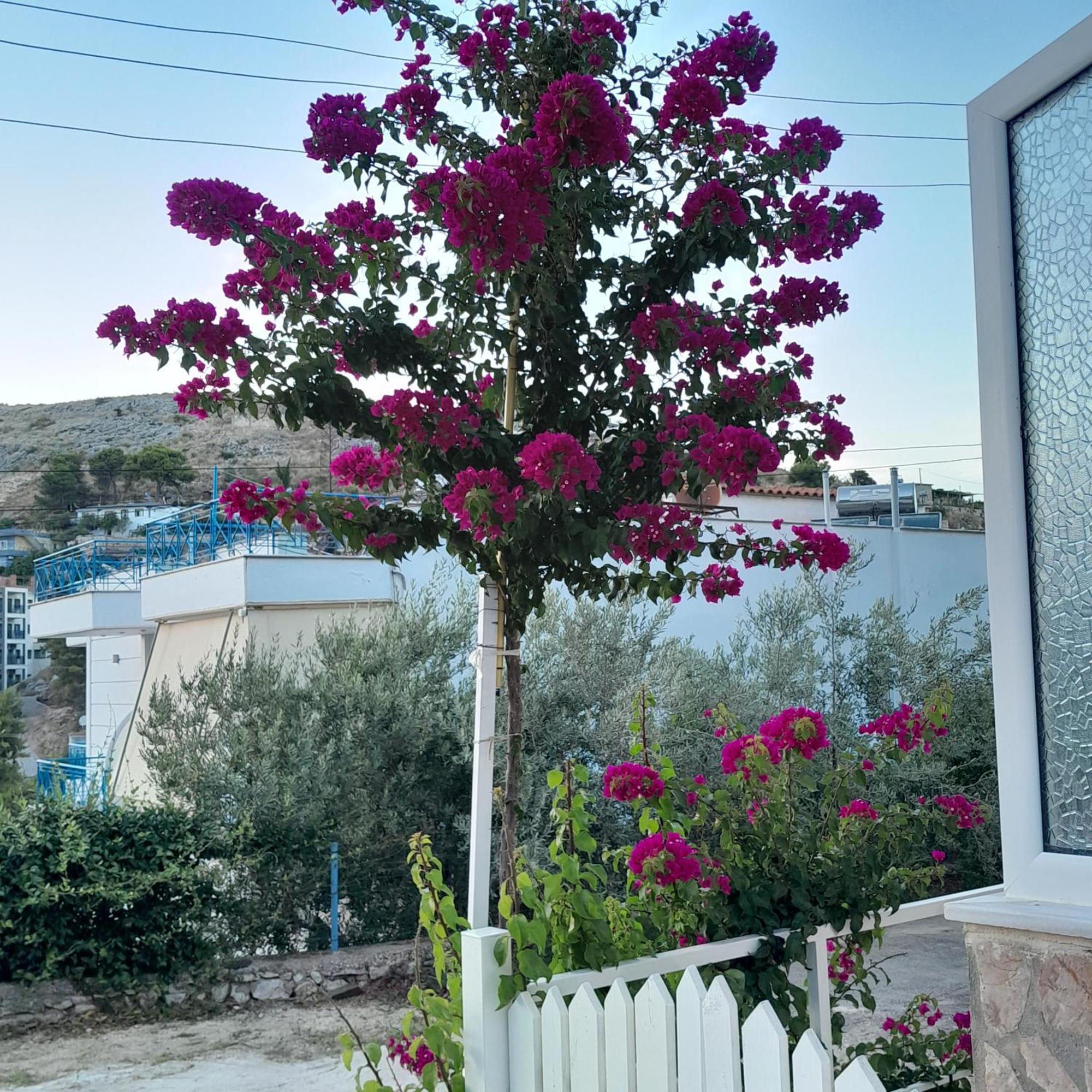 Denni'S Home Saranda Kültér fotó