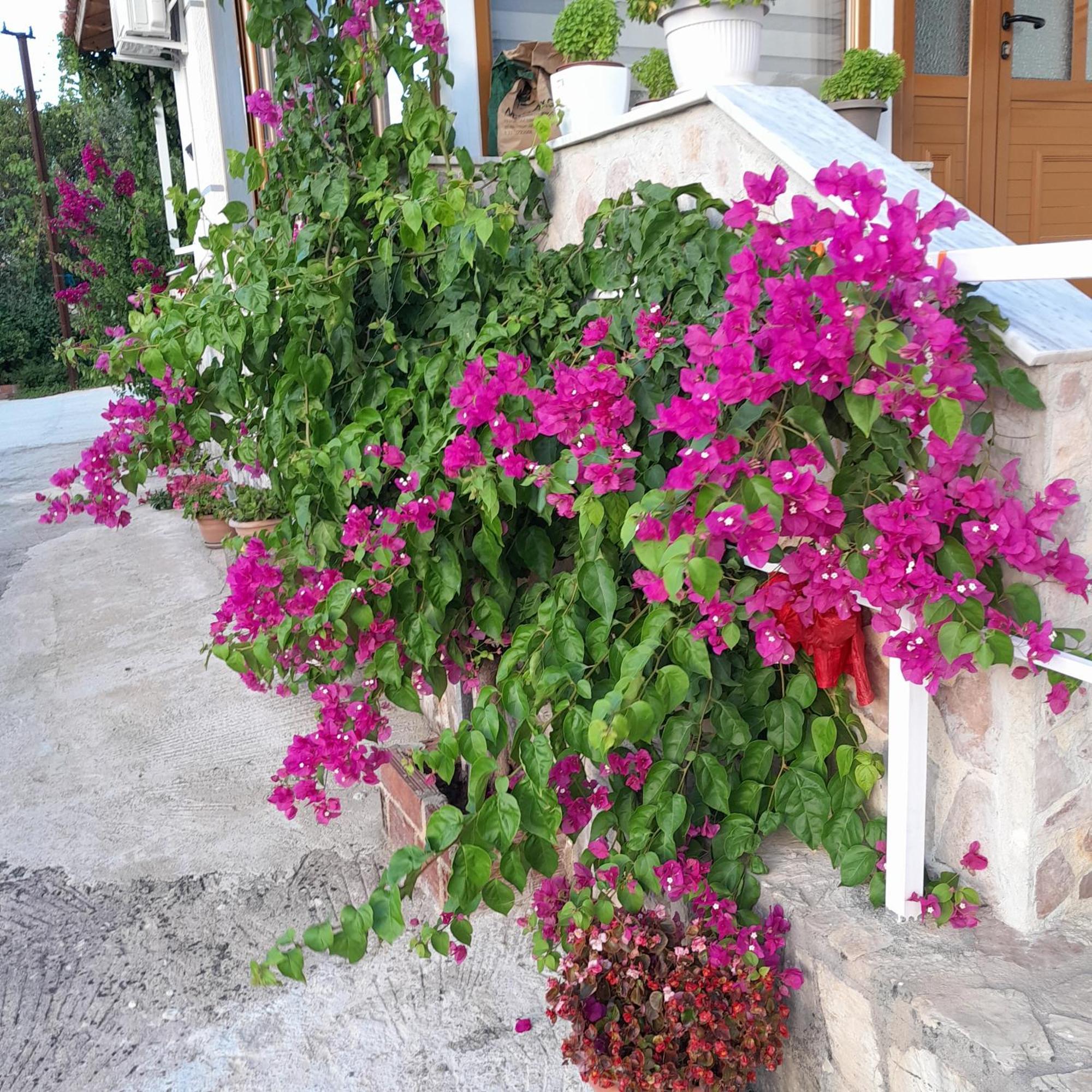 Denni'S Home Saranda Kültér fotó