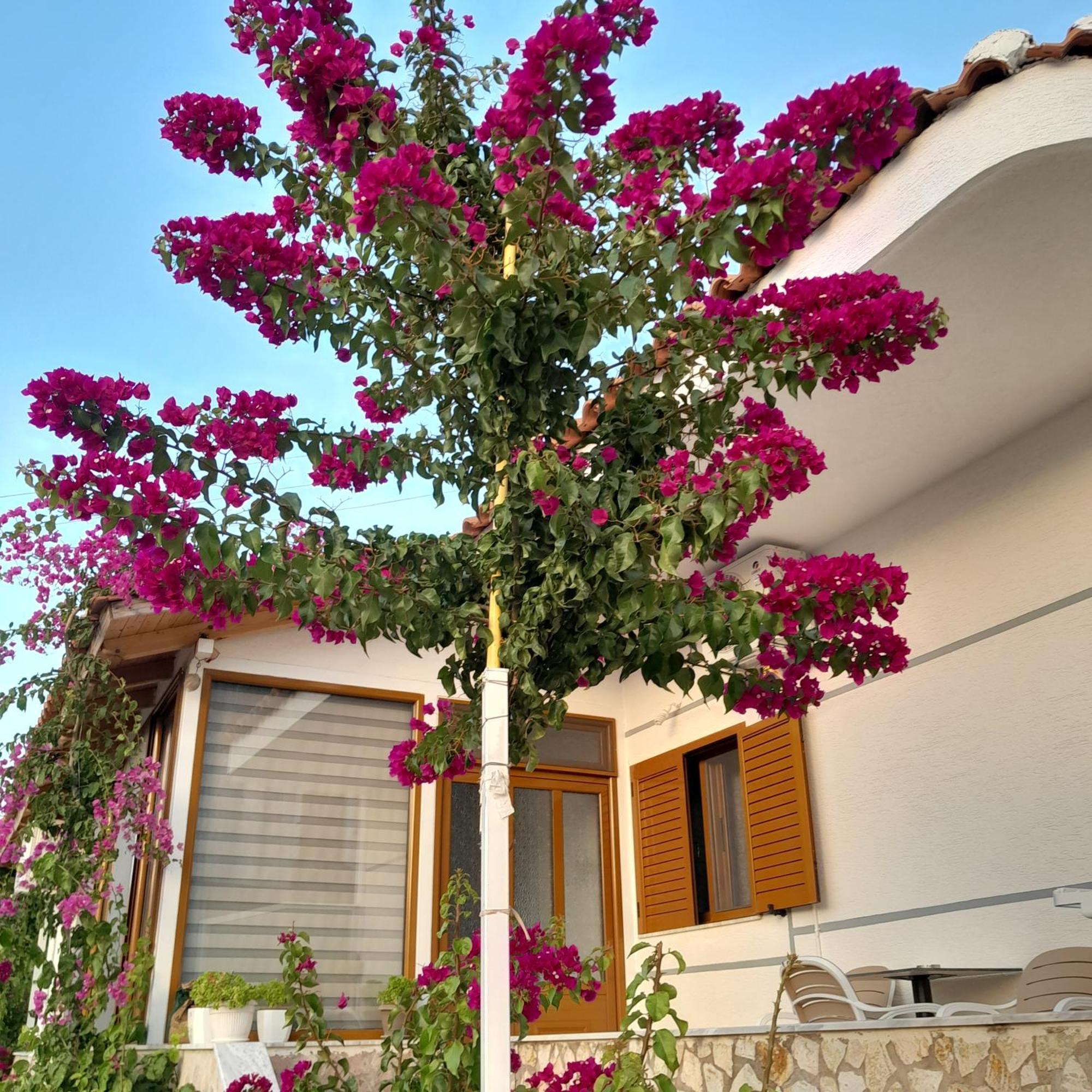 Denni'S Home Saranda Kültér fotó